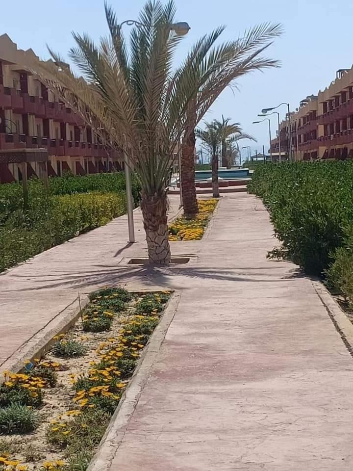 قريه مينا ريزورت راس سدر جنوب سينا Apartment *